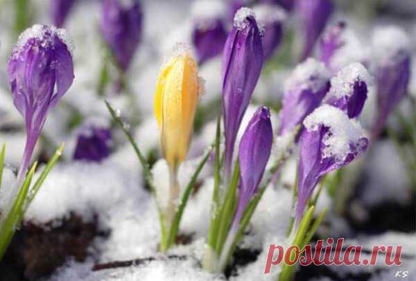 Какой церковный праздник сегодня 6 марта 2019 года Какой церковный праздник сегодня 6 марта 2019 года. Тимофей - Весновей. История праздника, традиции, обряды и приметы дня. Именинники 6 марта.