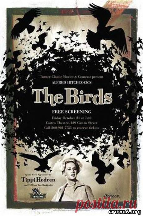 Птицы / Birds 1963 онлайн
Режиссер: Альфред Хичкок
Жанр: Триллер, ужасы