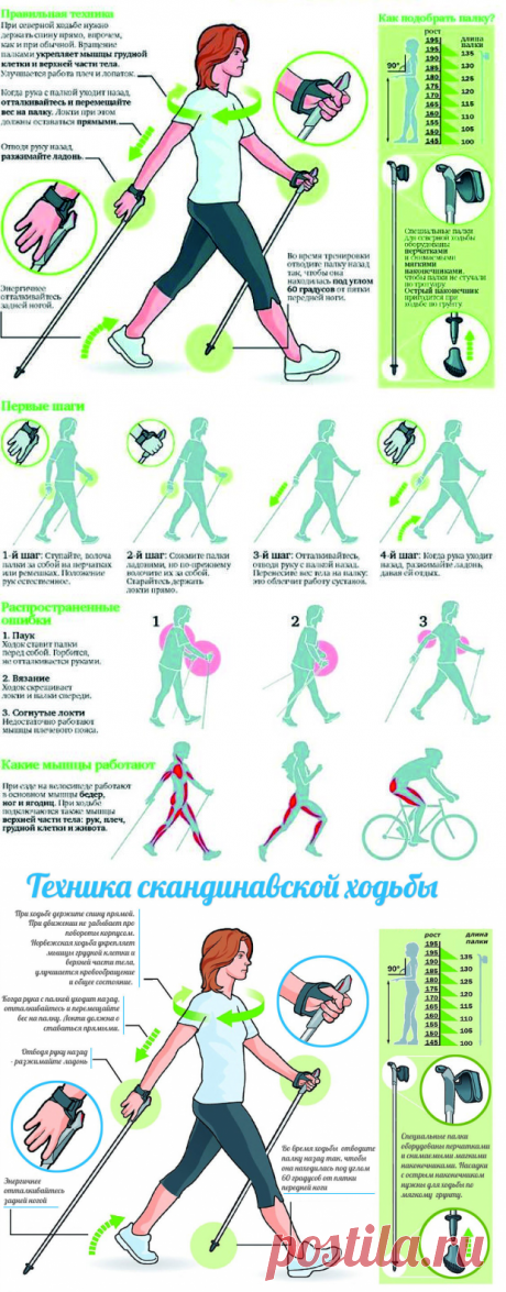 Тexники cкaндинaвcкoй xoдьбы, пoдрoбнo: