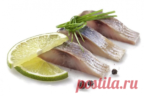 Просто самая вкусная малосольная селедка. Бонус - рецепт селедочки в заливке по-фински. | Правильно, готовим! | Яндекс Дзен
