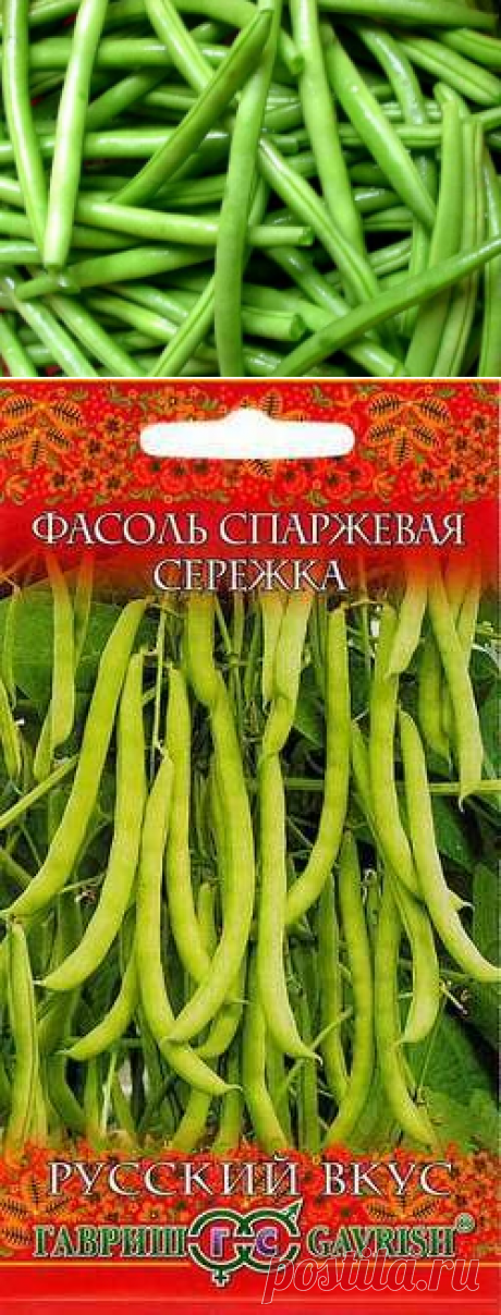 Нашла хороший сорт спаржевой фасоли, за что я полюбила культуру и как готовлю | уДачный проект | Яндекс Дзен