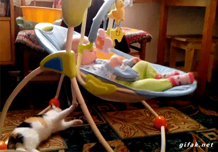 Кототерапия. Пушистый позитив))) | Гостиная для друзей