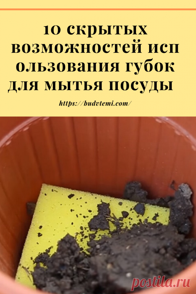 Посудные губки – незаменимые помощницы на кухне любой хозяйки. Мягкие и пористые, они превосходно впитывают воду и моющее средство, образуя пышную пену для деликатного очищения кухонной утвари. Но это не единственный способ их применения. Человеческая фантазия богата на выдумки, и редакция Novate  подготовила для вас десять нестандартных, но практичных вариантов использования посудных губок в быту.