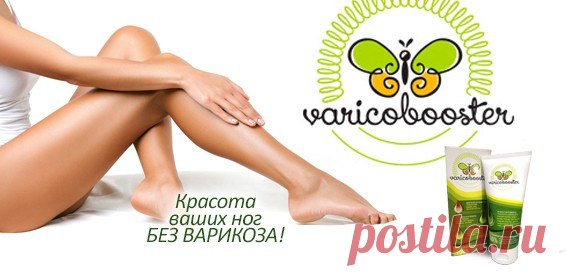 ЧТО ДЕЛАТЬ, ЕСЛИ В ПОГРЕБЕ ПЛЕСЕНЬ?