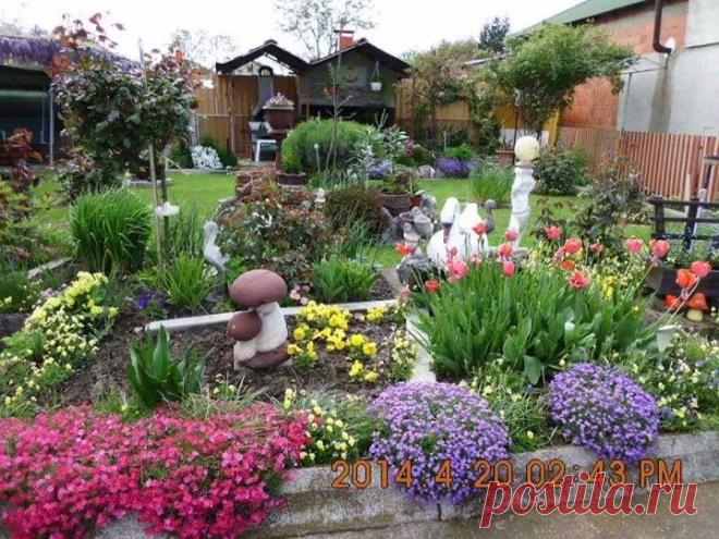 Светлана Мамеко