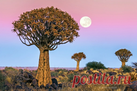 Panoramio - Photos of the World
