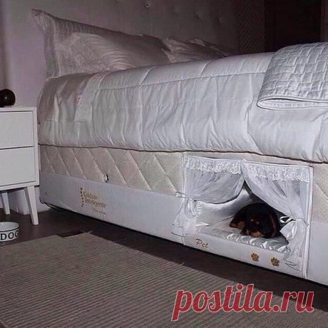 Спальня для друга меньшего )