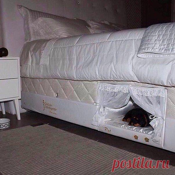 Спальня для друга меньшего )