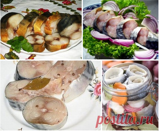 Солёная, маринованная, копчёная рыбка легко!
Самые вкусные рецепты!

1. Скумбрия за три минуты


