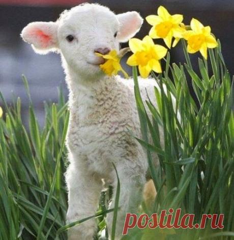 Ульяна Полищук – Google+