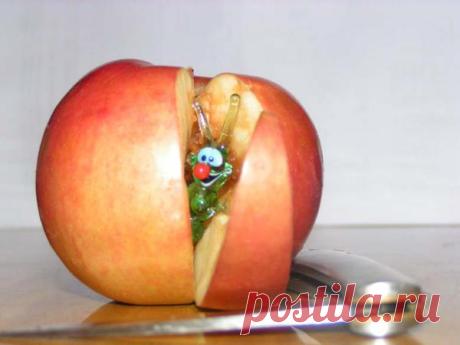 Сюрприз в яблоке