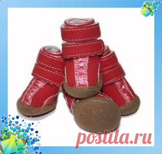 Ботиночки, тапочки, обувь для собаки. Выкройка 1