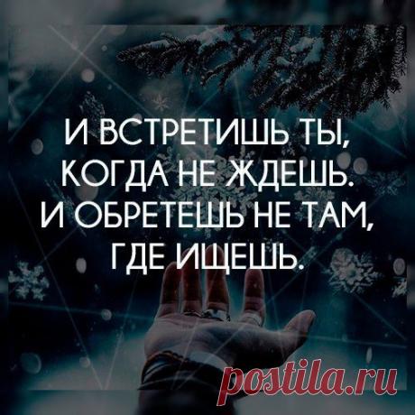 2592687506.jpg (500×500)