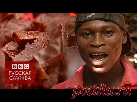 Горькая правда о шоколаде: документальный фильм Би-би-си