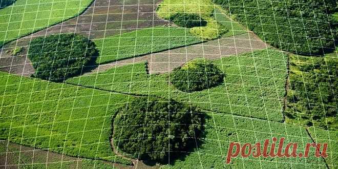 Точное земледелие. Пневматическая сеялка точного высева. Купить сеялку в Украине.