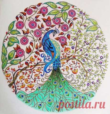 Идеи для творчества / Болталка / Разговоры на любые темы