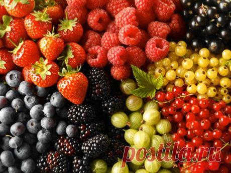 Лечение ягодами. | Советы Народной Мудрости