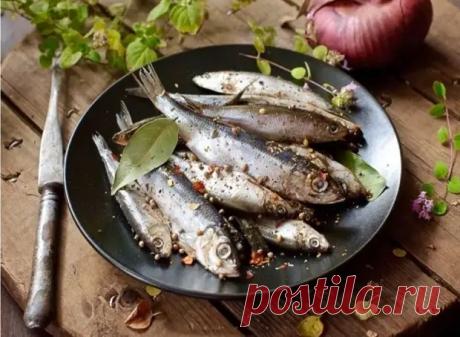 Секретная засолка селедки, кильки и хамсы. Такую закуску сметают со стола за минуту - Будет вкусно - Медиаплатформа МирТесен