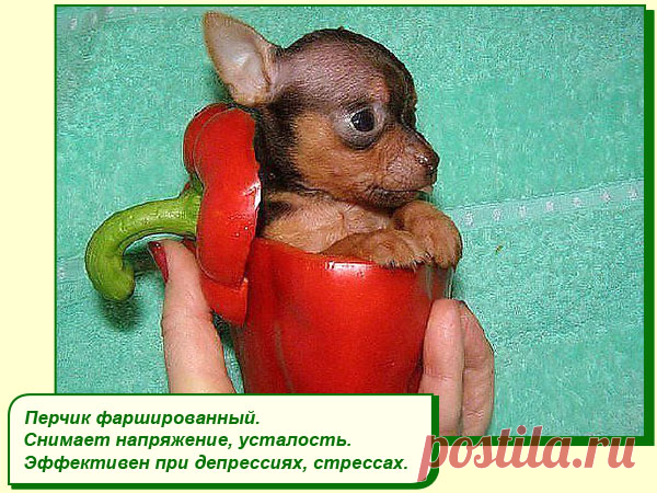 ХОРОШЕГО ВАМ НАСТРОЕНИЯ