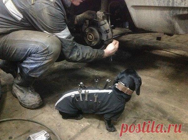 Сотрудник автосервиса