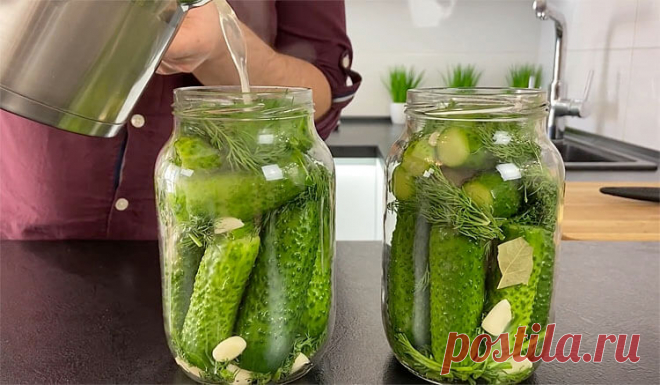 Хрустящие малосольные огурцы на скорую руку: готовы за ночь, а к утру можно есть