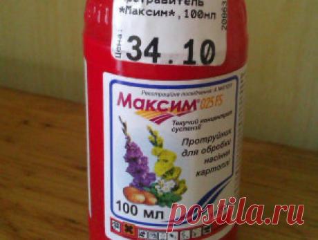 Препарат максим инструкция по применению