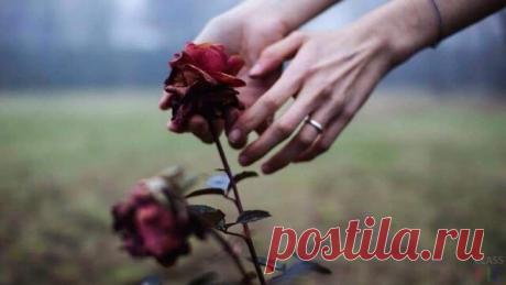 Если однажды тебе захочется плакать — позови меня… Я не обещаю, что заставлю тебя смеяться, но я обязательно поплачу вместе с тобой… Если однажды ты захочешь убежать, не бойся… позови меня… Я не обещаю, что попрошу тебя остаться… Но я убегу вместе с тобой. Если однажды тебе не захочется никого не слышать, позови меня … И я буду молчать вместе с тобой… Но если однажды ты позовёшь… А я не откликнусь, поспеши ко мне! Вероятно, в этот момент я в тебе очень и очень нуждаюсь… 

Габриэль Гарсиа Маркес