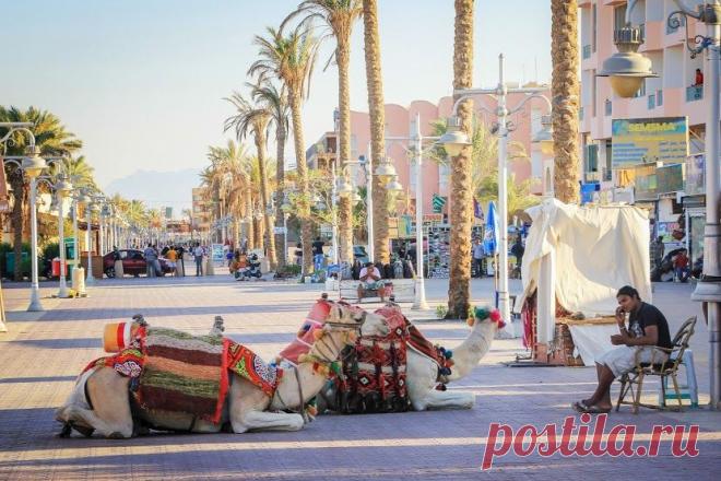 Блог египтолога-модерниста