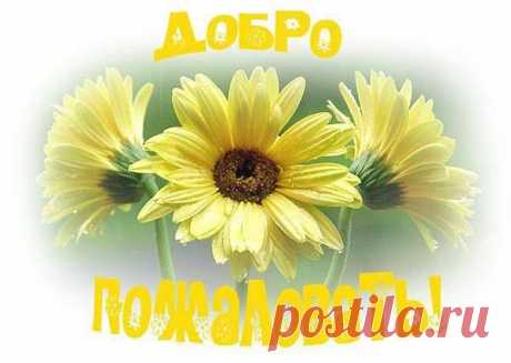 (3) Наталья Сваха Знакомства