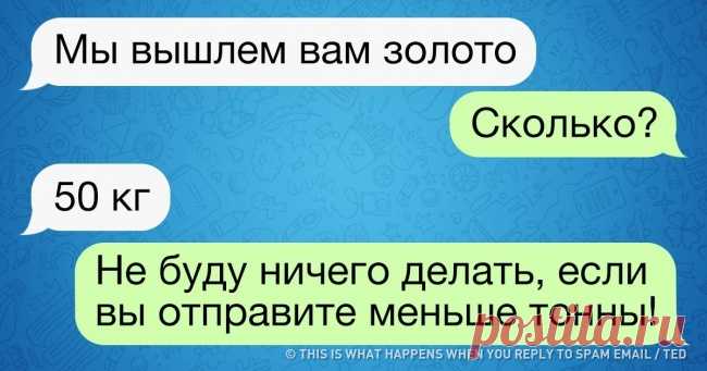 Парень ответил на письмо со спамом, и игра началась. Финал переписки стоил потраченного времени . Милая Я