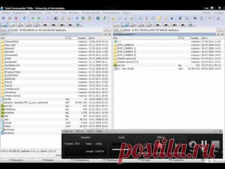Лучшие файловые менеджеры для Windows: ТОП-10 утилит