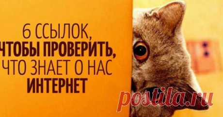 6 ссылок, чтобы проверить, что знает о нас интернет