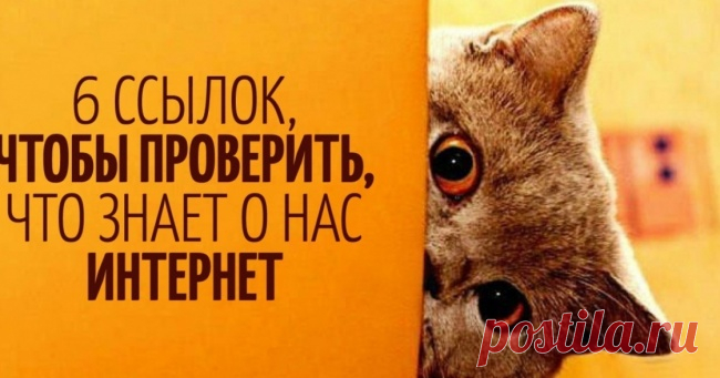 6 ссылок, чтобы проверить, что знает о нас интернет