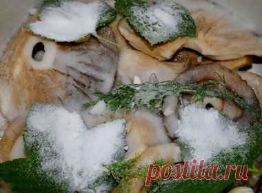 Соленые грузди | Заготовки