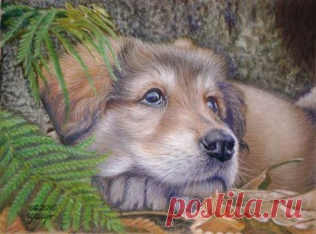 Я В ВОСТОРГЕ ОТ ЕЁ ТВОРЧЕСКИХ РАБОТ.
Художник Irina Miroshnikova..