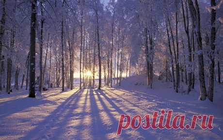 Праздники – 10 Февраля • День домового • День рождения утюга • День рассматривания лиц • День дипломатического работника • День памяти А. С. Пушкина • Именины у Ефрема, Исаака, Феодосия, Палладия