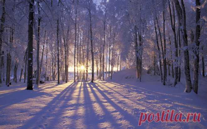 Праздники – 10 Февраля • День домового • День рождения утюга • День рассматривания лиц • День дипломатического работника • День памяти А. С. Пушкина • Именины у Ефрема, Исаака, Феодосия, Палладия