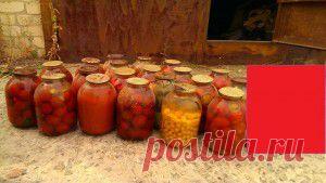 Запад смеется над российским конвоем. Но почему он не посылает свой?