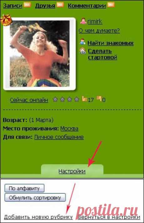 Создание рубрик и подразделов в дневнике