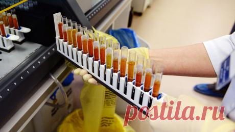 В госполиклинике у россиянина отказались брать назначенный врачом анализ. В одной из городских поликлиник Новосибирска местному жителю отказали в заборе анализов, которые ему назначил врач, так как у медицинского учреждения закончился контракт с лабораторией на анализы. Об этом сообщает издание Ngs.ru. Как ...