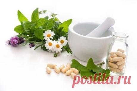 Отличные рецепты для очищения почек