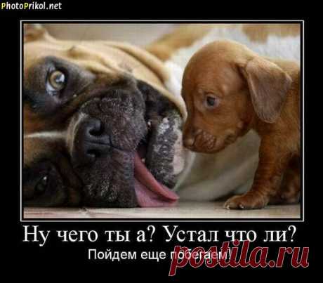 (7) Facebook