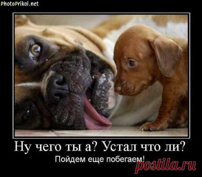 (7) Facebook