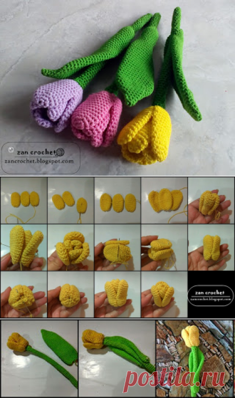 Tulip ~ Zan Crochet
Тюльпан