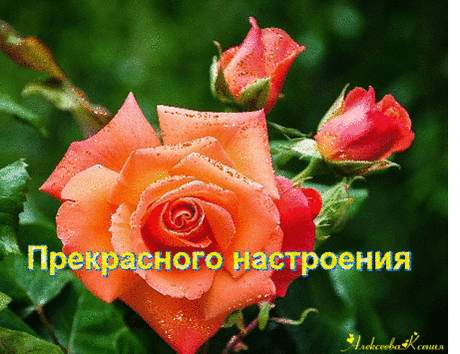 Всего Вам самого доброго!