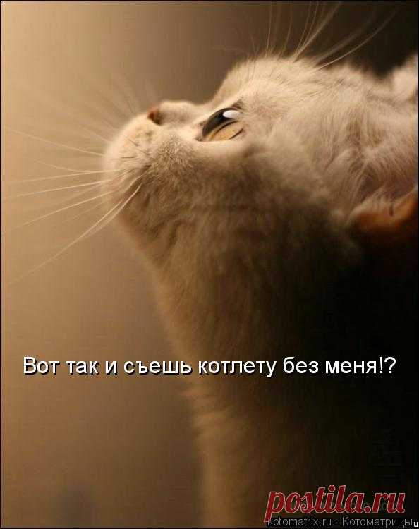 Смешные и чудные часть 2