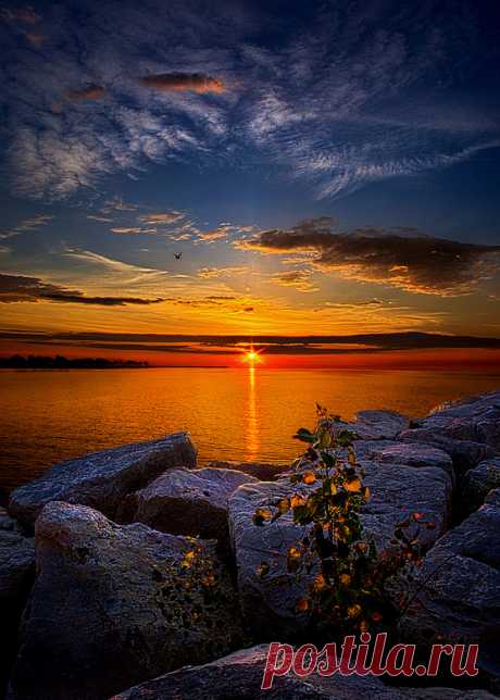 coiour-my-world:
““Before you woke” by Phil Koch
”