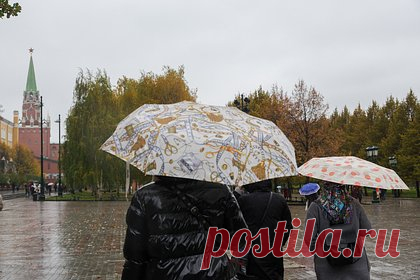 Москвичам рассказали о погоде в ноябре