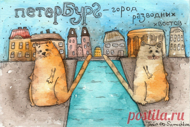 Петербург - город разводных котов.