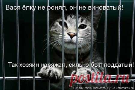 Котоматрицы с нашими любимцами)
